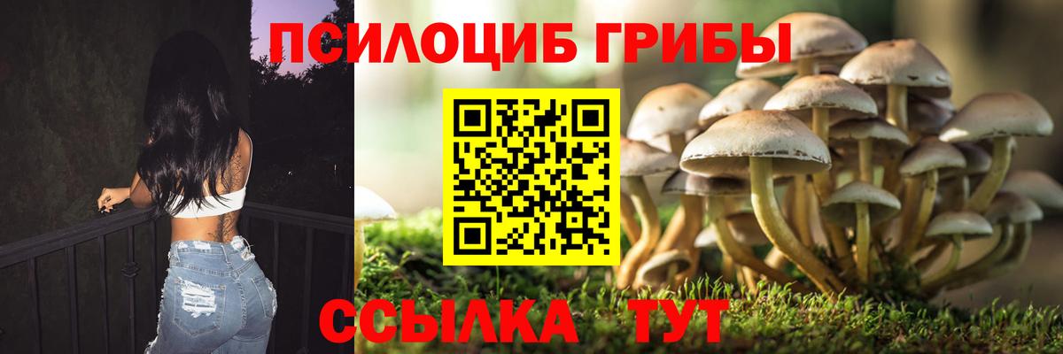 Псилоцибиновые грибы ЛСД  Вход с VPN  Сертолово 