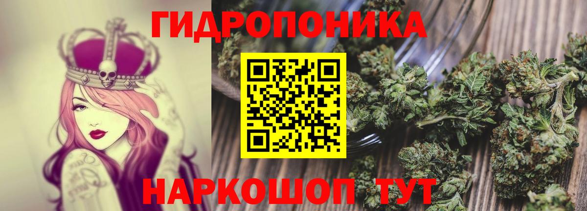 Сертолово  МАРИХУАНА Bruce Banner  Марихуана THC 21%  Вход с VPN  Шишки марихуана сатива 